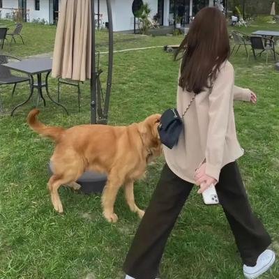 没有灵魂的女孩